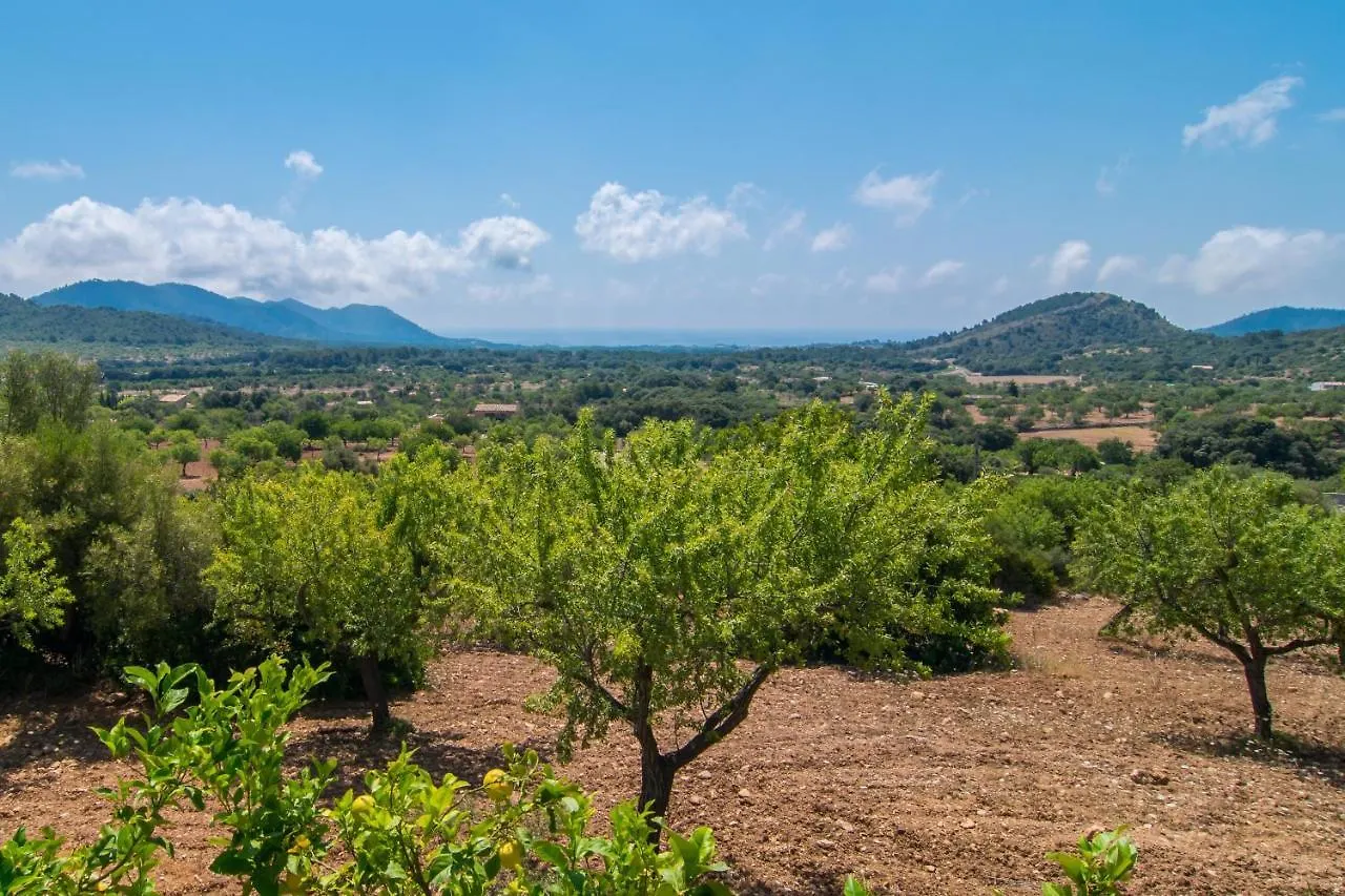 Finca Es Serva Son Servera  Spain